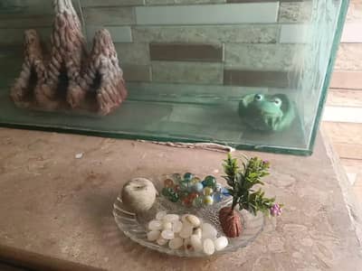 Large custom size aquarium for fish with decorations and pump
