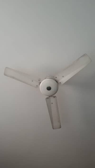 Ceiling Fan - Energy Efficient and Durable