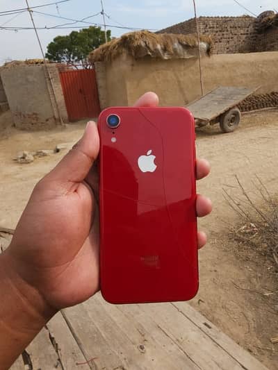 iPhone XR