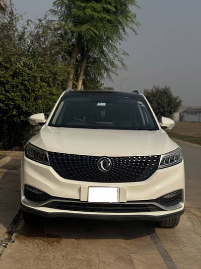 Glory 580 Pro with footrest Door