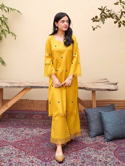 Beautiful Embroidered Dhanak Suit for Sale