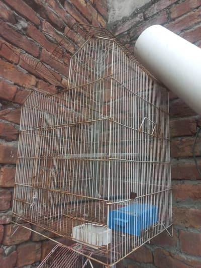 BIRD CAGE