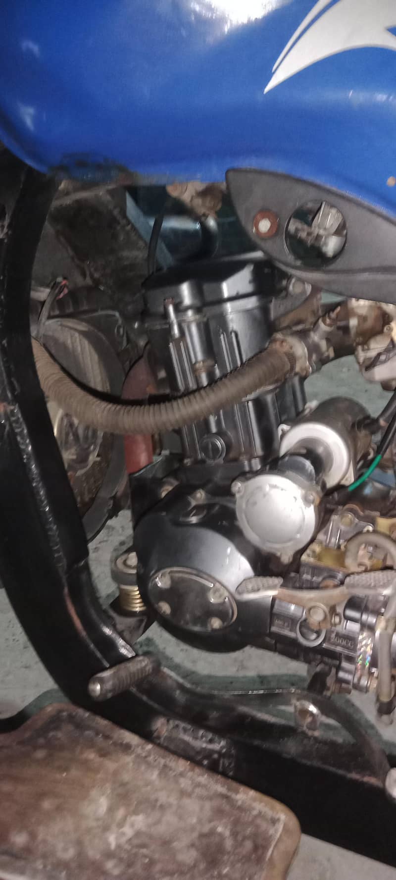 200 cc classic cargo loder 3