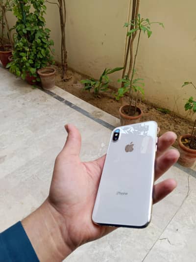 Iphone x pta approve