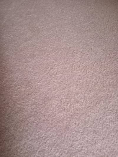 skin wall to wall carpet