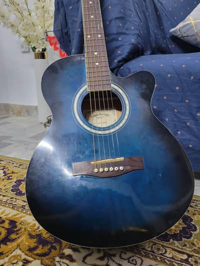 Acoustic Guitar