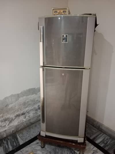 Dwalance Fridge 10 by 10 03007629070