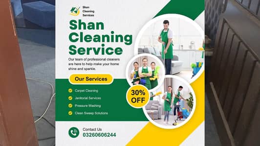 sofa and carpet cleaning services