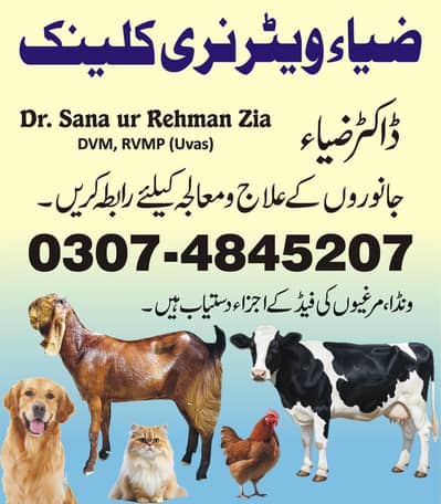 Zia Veterinary Clinic ضیاء ویٹرنری کلینک & ismail Feeds Fsd