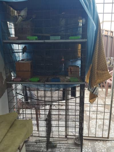 Birds 3 fishers and a Cage