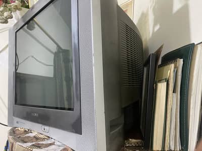 use ha or safe ha bilkul