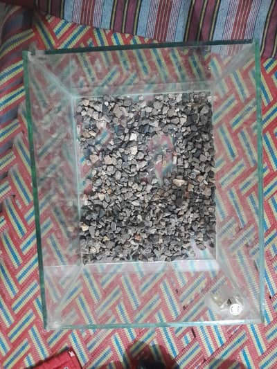 Aquarium for 6 to 10 fishes