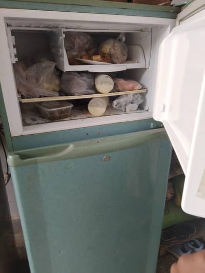 pel fridge two doors never repair in perfect condition