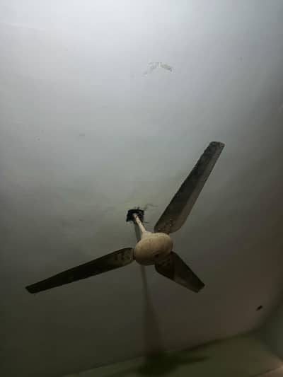 ceiling fan using