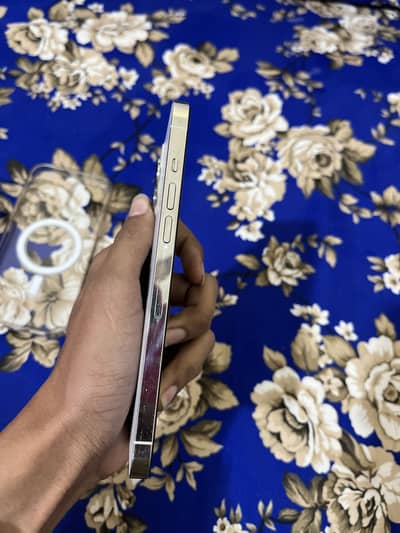 i phone 12 pro max 256 gb