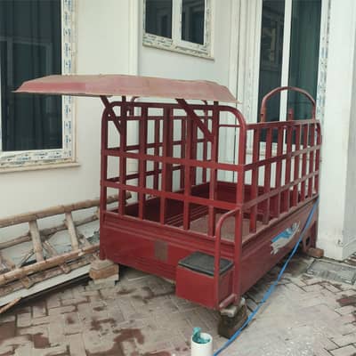 New Cargo Loader 100cc Body