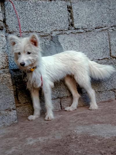 yar Kya lekhna ha yaha ni pata 