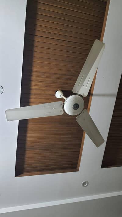 2 Pakfans Ceiling Fan - Energy Efficient and Durable