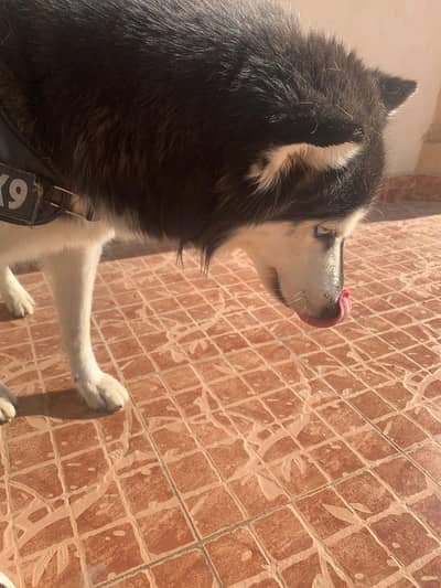 baldia town Karachi 5/B257