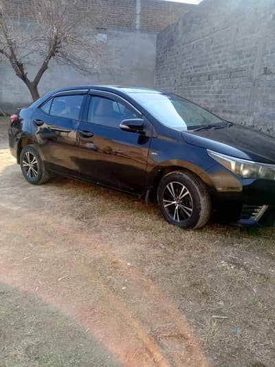 GLI 2014 model new shape 03418039131