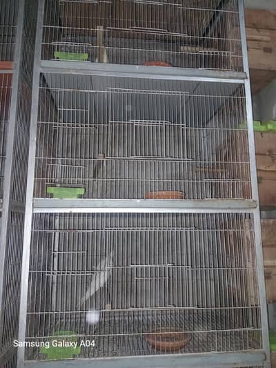 Birds cage for sale