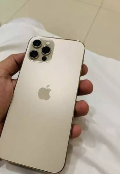 iphone 12 pro max golden colour