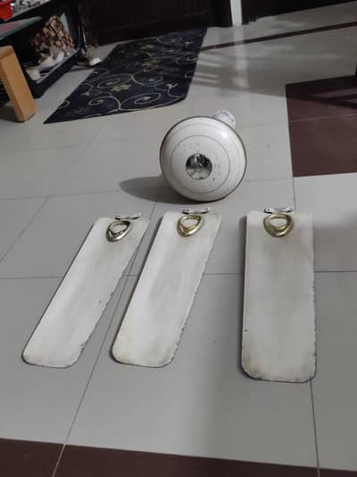 Royal fan available for sale