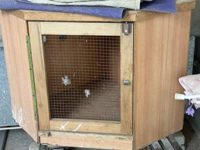 Cat cage, food containers, and other accessories