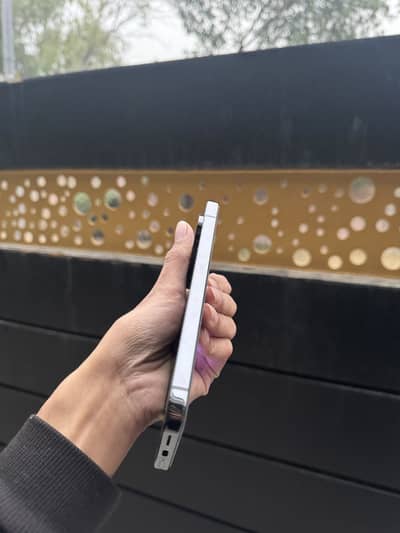 Google pixel 9 pro xl