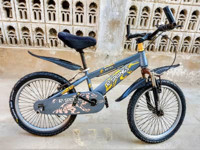 Imported Bicycle 20"