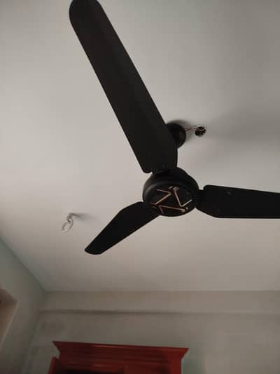 fan for sale