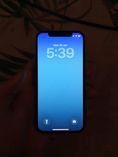 iPhone 12 64GB 94 Battery Health Waterpack Phone