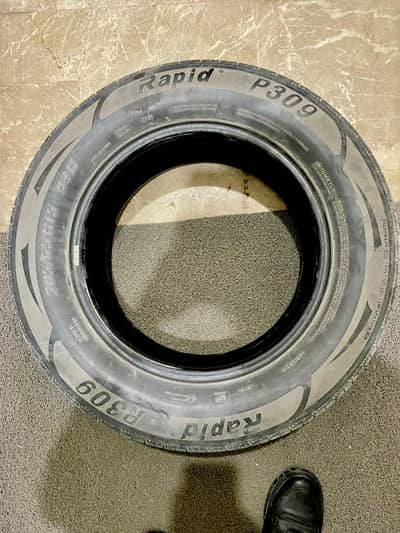 Rapid P309 205 65 15 URGENT!