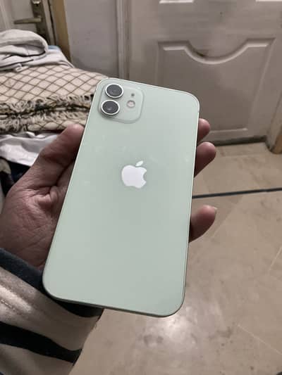 Apple iPhone 12 Mint Green