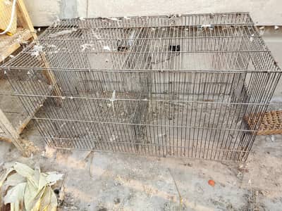 Cages for sale ان ٹوبہ ٹیک سنگھ