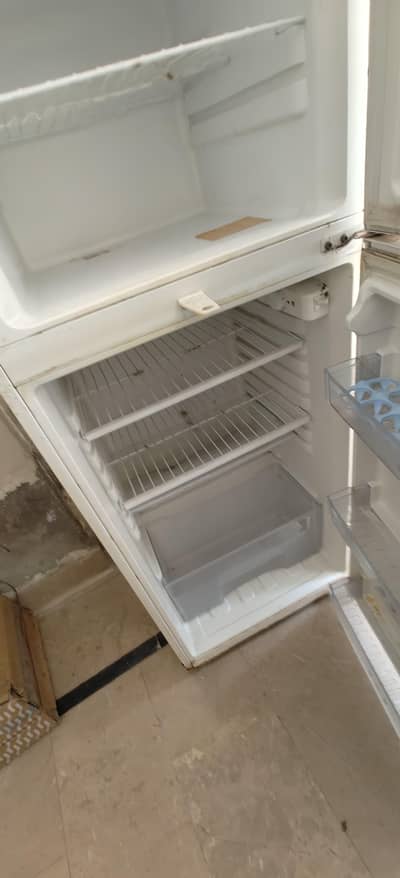 medium sized refrigerator