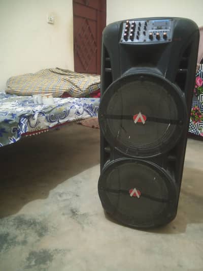 12 x 12 speaker