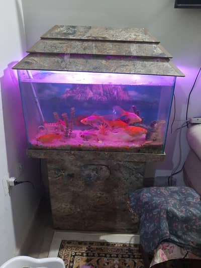 Aquarium and Furniture Items