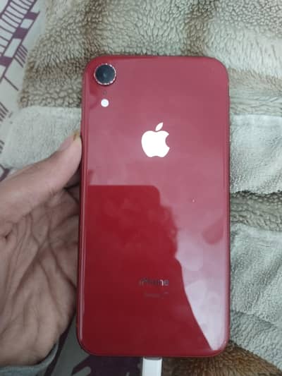 i phone xr