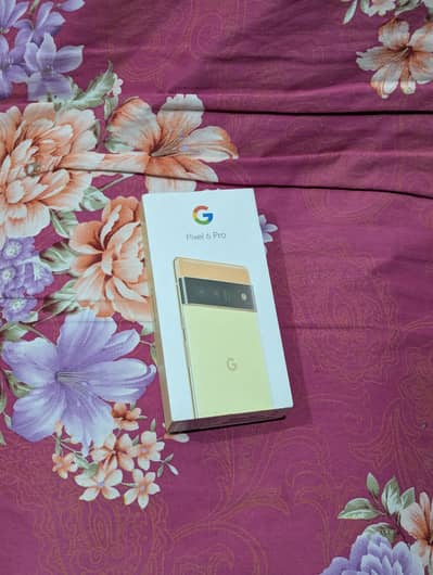 Google Pixel 6 Pro