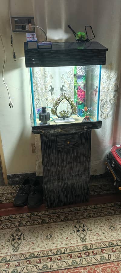 fish aqvarium & all accessories.