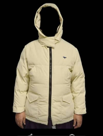 Canada Ghoose Hoodei