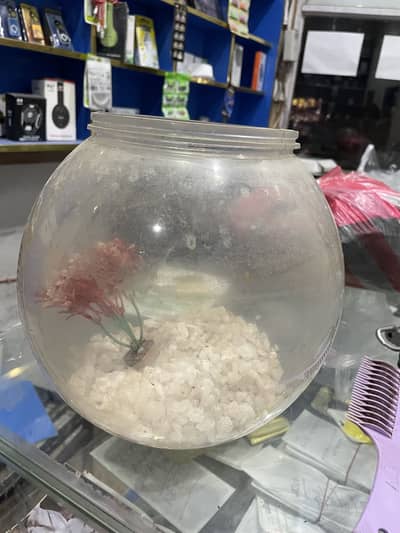 Fish tank full setup