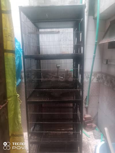 love birds cage urgent sale