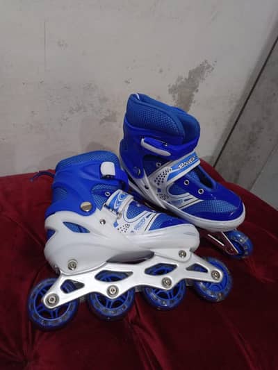 Skating shoes with Kit