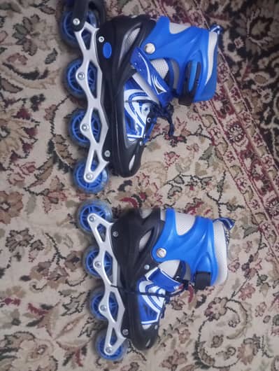 skate full new with bag