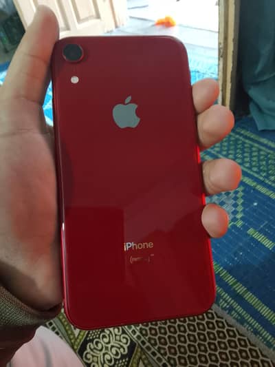 Whatsapp nomber 03407960550