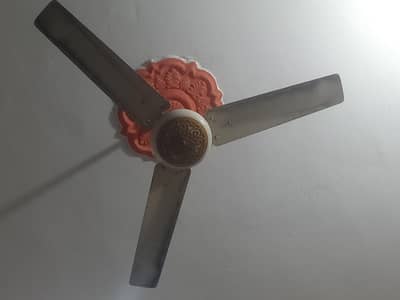 Ceiling Fan