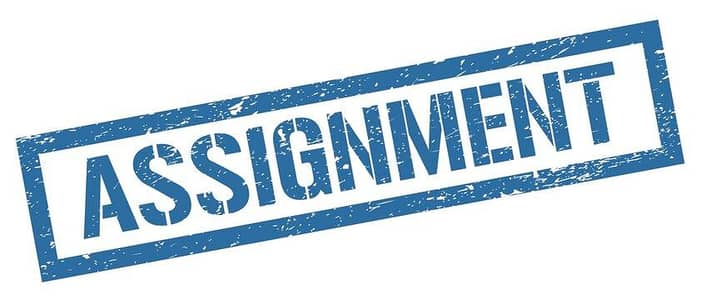 University Assignment Typing & MS Word / PPT Formatting