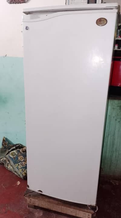 medium size freezer,